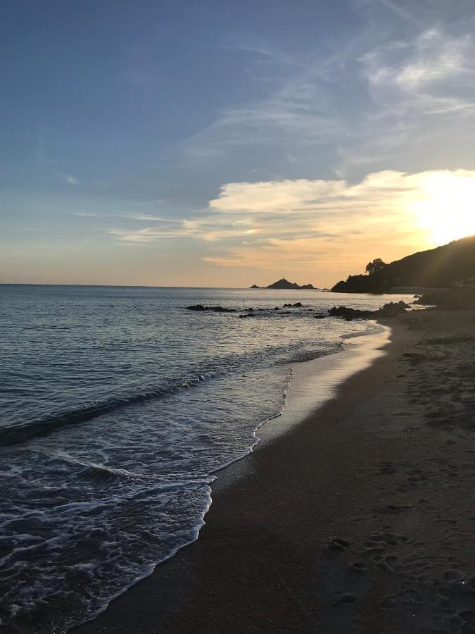 Magnifique Villa Recente Entre Mer Et Montagne Situee Entre Ajaccio Et Porticcio Cauro エクステリア 写真