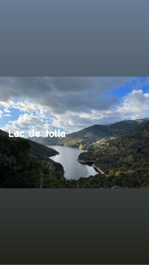 Magnifique Villa Recente Entre Mer Et Montagne Situee Entre Ajaccio Et Porticcio Cauro エクステリア 写真